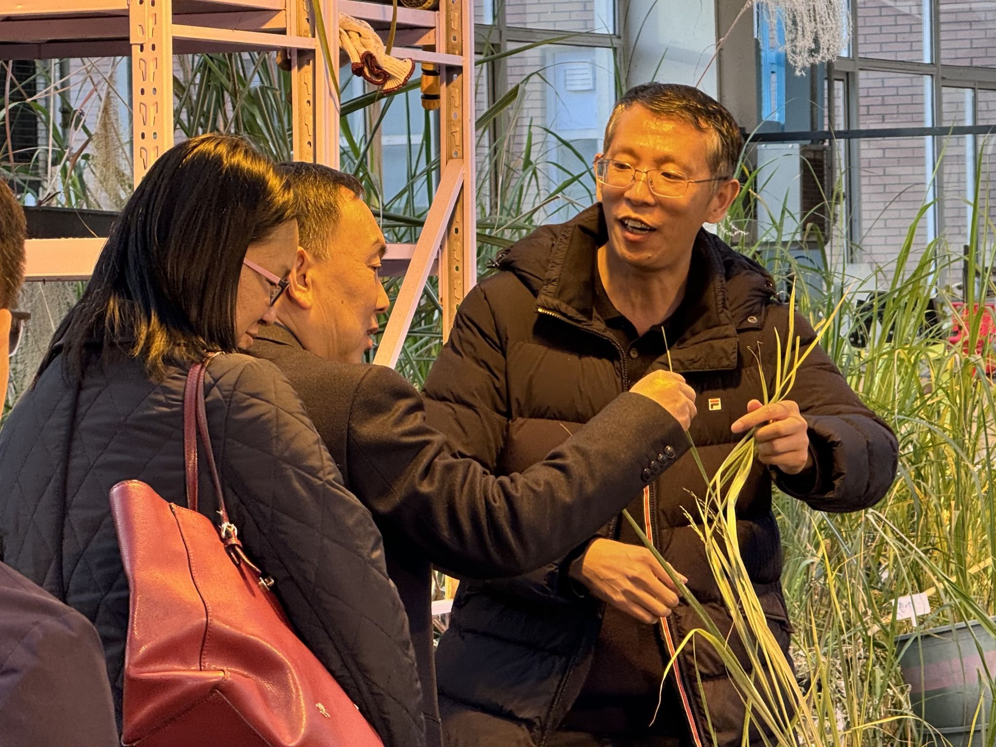 william威廉亚洲官方